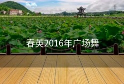 春英2016年广场舞