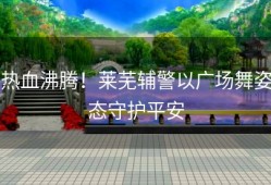 热血沸腾！莱芜辅警以广场舞姿态守护平安