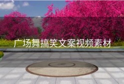 广场舞搞笑文案视频素材