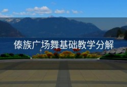 傣族广场舞基础教学分解