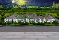 好看的广场舞中老年表演舞