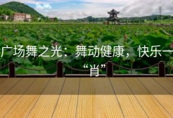 广场舞之光：舞动健康，快乐一“肖”