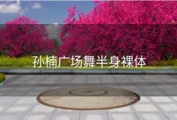 孙楠广场舞半身裸体