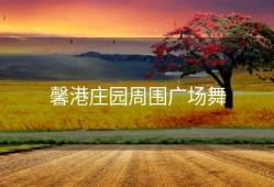 馨港庄园周围广场舞