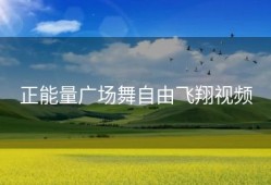 正能量广场舞自由飞翔视频