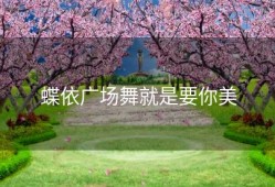 蝶依广场舞就是要你美