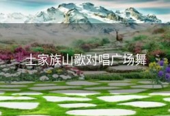 土家族山歌对唱广场舞