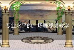 专业水平的广场舞视频教学