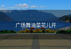 广场舞油菜花儿开