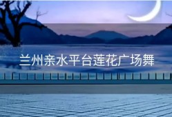 兰州亲水平台莲花广场舞