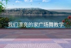 我们漂亮的家广场舞教学