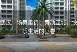 武汉广场舞集锦：舞动江城，快乐生活的画卷