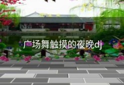 广场舞触摸的夜晚dj
