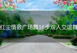 红尘情歌广场舞16步双人交谊舞