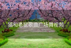 猫和老鼠歌曲广场舞视频