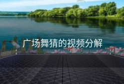 广场舞猜的视频分解