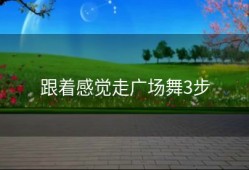 跟着感觉走广场舞3步