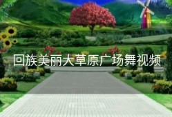 回族美丽大草原广场舞视频