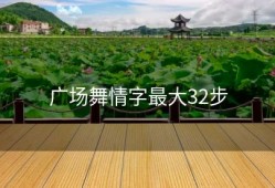 广场舞情字最大32步