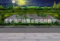 王老师广场舞全部视频教学
