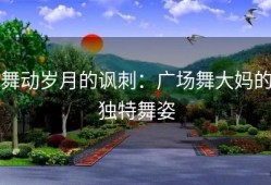 舞动岁月的讽刺：广场舞大妈的独特舞姿