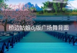 桥边姑娘dj版广场舞背面