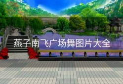 燕子南飞广场舞图片大全