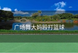 广场舞大妈殴打篮球