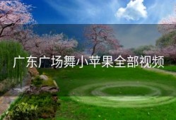 广东广场舞小苹果全部视频