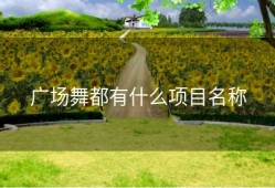 广场舞都有什么项目名称