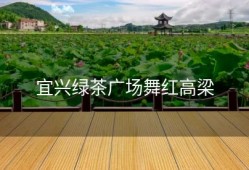宜兴绿茶广场舞红高梁