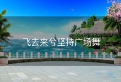 飞去来兮坚持广场舞