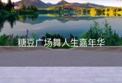 糖豆广场舞人生嘉年华