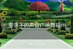 雪落下的声音广场舞福州
