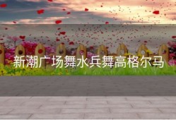 新潮广场舞水兵舞高格尔马