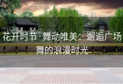 花开时节·舞动唯美：邂逅广场舞的浪漫时光
