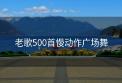 老歌500首慢动作广场舞