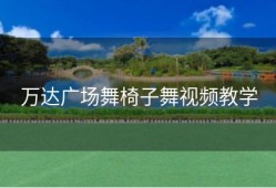 万达广场舞椅子舞视频教学