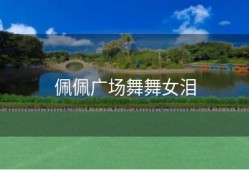 佩佩广场舞舞女泪