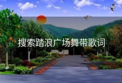 搜索踏浪广场舞带歌词