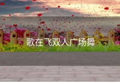歌在飞双人广场舞