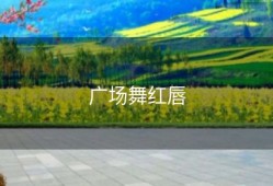 广场舞红唇