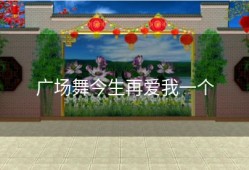 广场舞今生再爱我一个