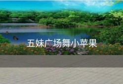 五妹广场舞小苹果