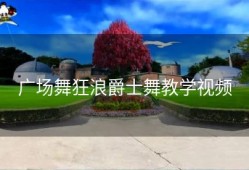 广场舞狂浪爵士舞教学视频
