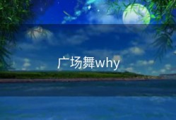 广场舞why