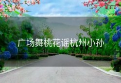 广场舞桃花谣杭州小孙