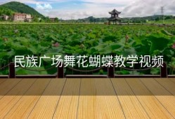 民族广场舞花蝴蝶教学视频