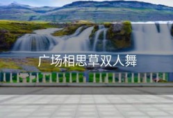 广场相思草双人舞