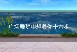 广场舞梦中想着你十六步